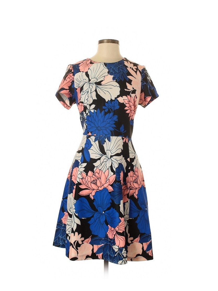 Eliza. J Floral Fit & Flare Dress In Blue, Pink & Cream